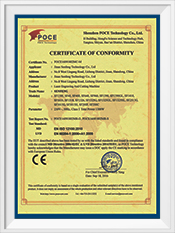 Международный сертификат Senfeng